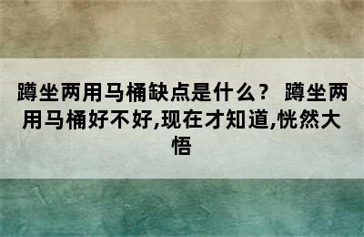 蹲坐两用马桶缺点是什么？ 蹲坐两用马桶好不好,现在才知道,恍然大悟